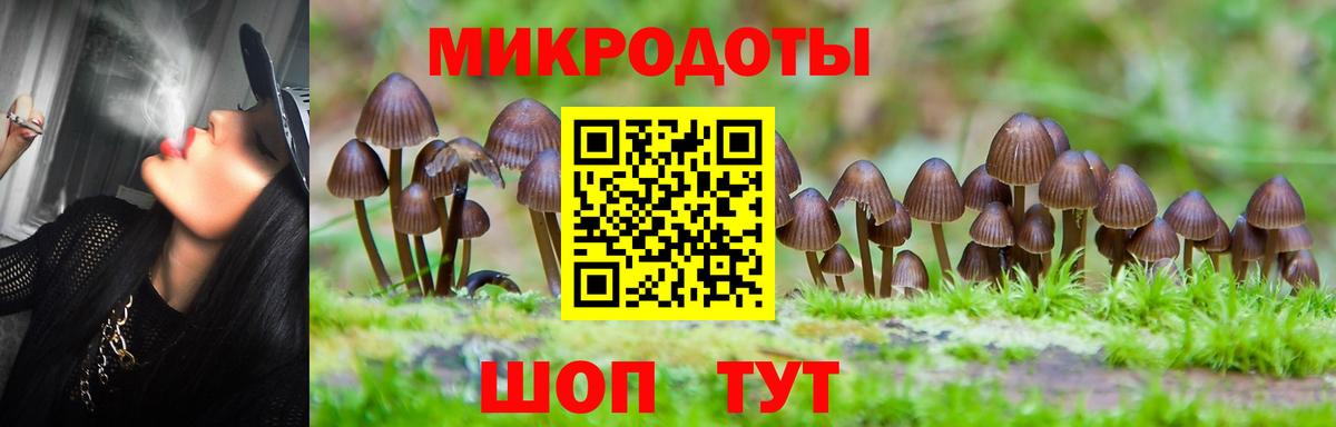 Шали  Галлюциногенные грибы Cubensis  Вход с VPN 
